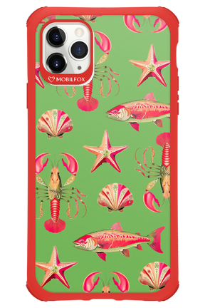 Sea Stars - Apple iPhone 11 Pro Max