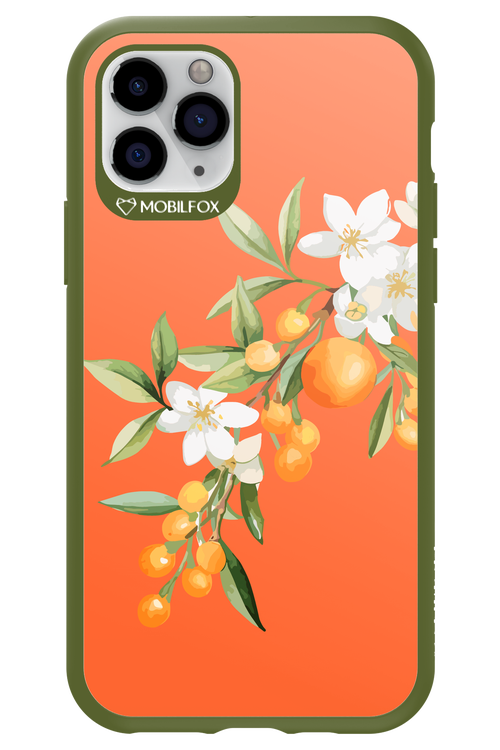 Amalfi Oranges - Apple iPhone 11 Pro