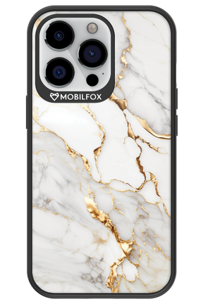 Ariel - Apple iPhone 13 Pro