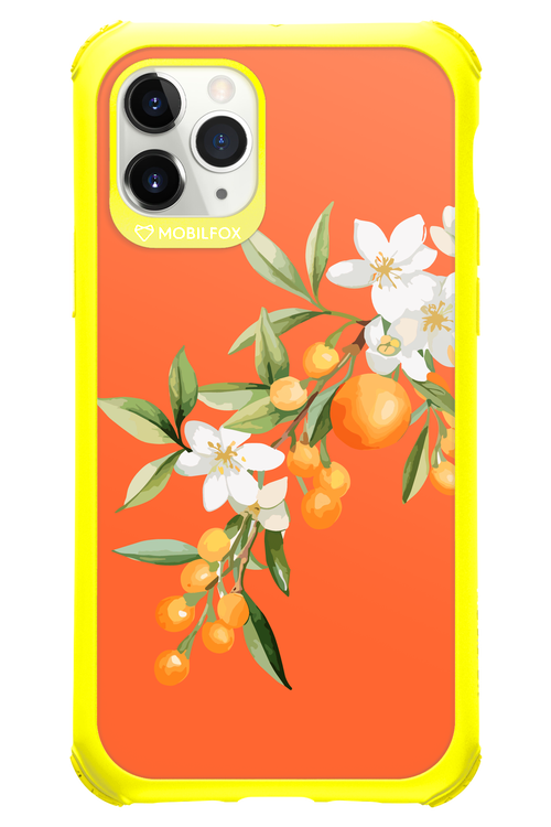 Amalfi Oranges - Apple iPhone 11 Pro
