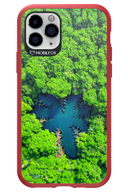 Amazon Echo - Apple iPhone 11 Pro