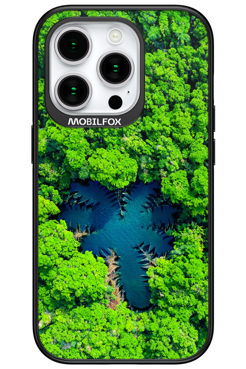 Amazon Echo - Apple iPhone 15 Pro