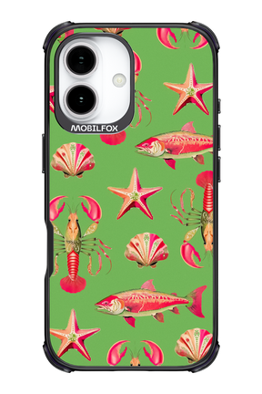 Sea Stars - Apple iPhone 17