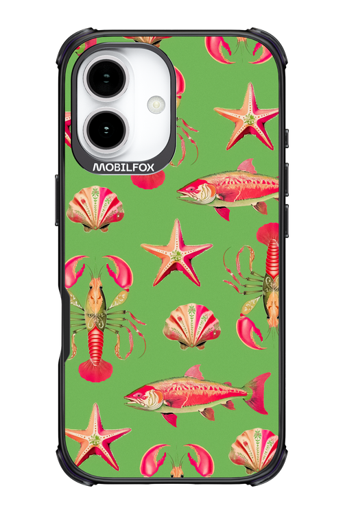 Sea Stars - Apple iPhone 17