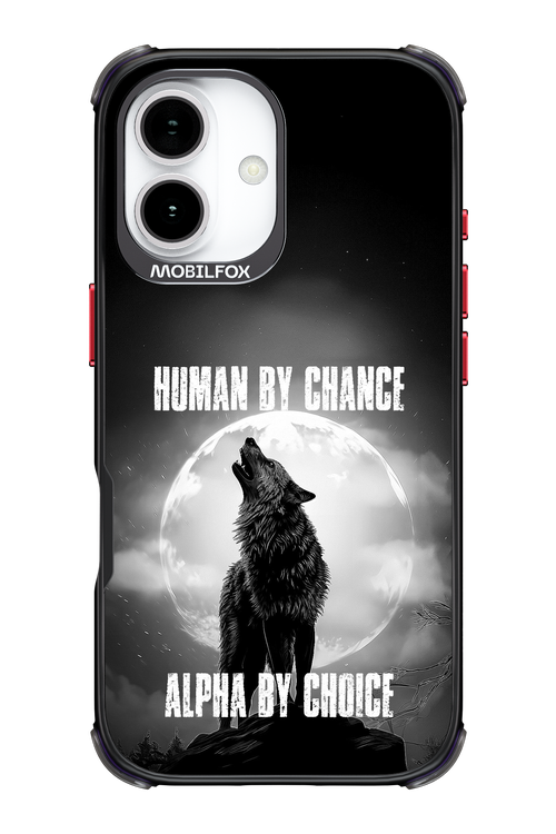 Alpha 2.0 - Apple iPhone 17