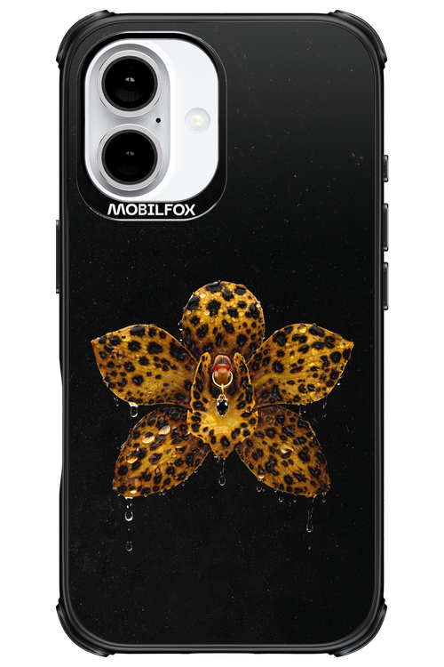 Wet & Wild 2.0 - Apple iPhone 16