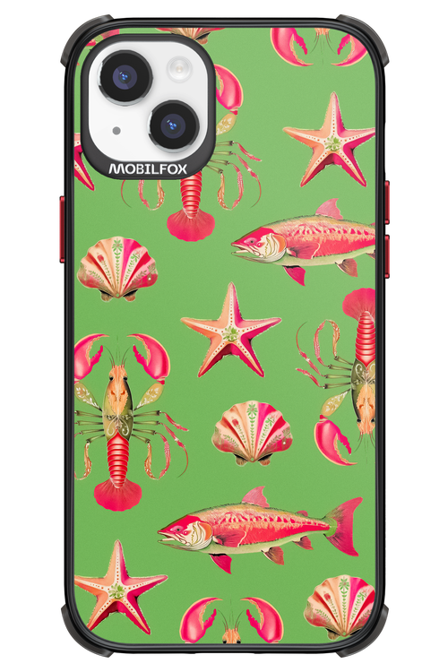 Sea Stars - Apple iPhone 14 Plus