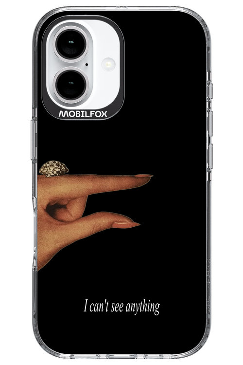 I can't see anything 2.0 - Apple iPhone 16