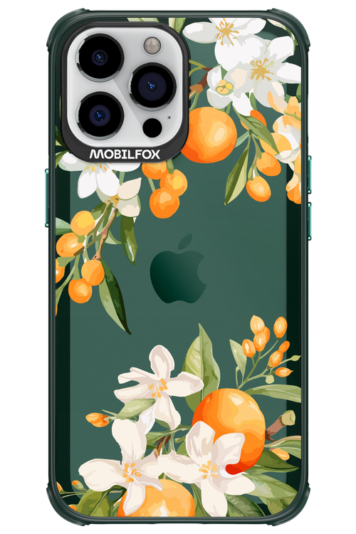Amalfi Orange - Apple iPhone 13 Pro Max
