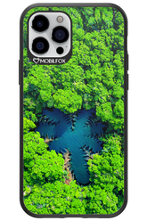 Amazon Echo - Apple iPhone 12 Pro
