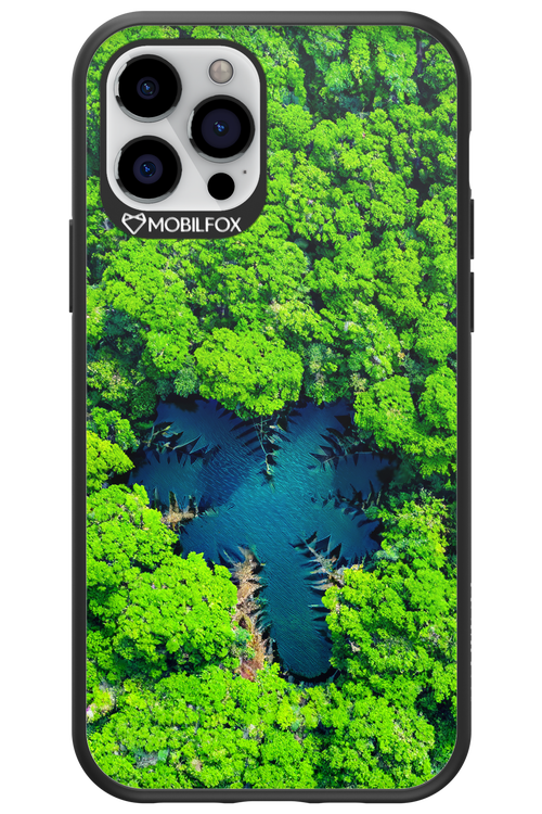 Amazon Echo - Apple iPhone 12 Pro