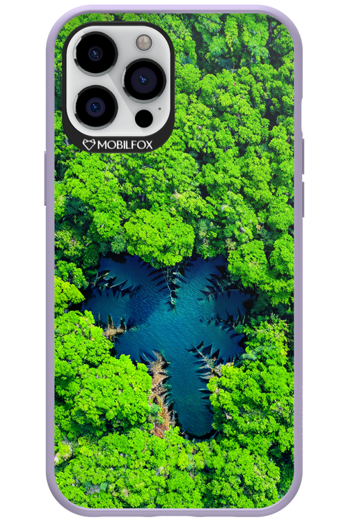 Amazon Echo - Apple iPhone 12 Pro Max
