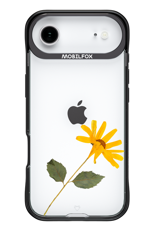 Pressed Flower - Apple iPhone 17 Air