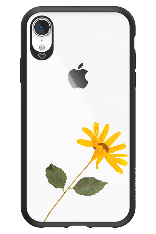 Pressed Flower - Apple iPhone XR