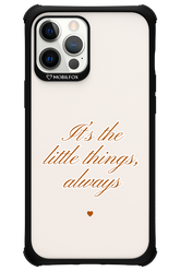 Little Things - Apple iPhone 12 Pro Max