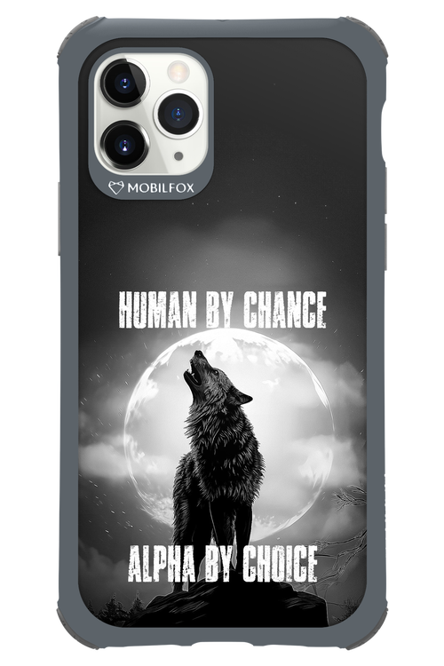 Alpha 2.0 - Apple iPhone 11 Pro