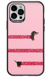 PAWS & KISSES 2.0 - Apple iPhone 12 Pro