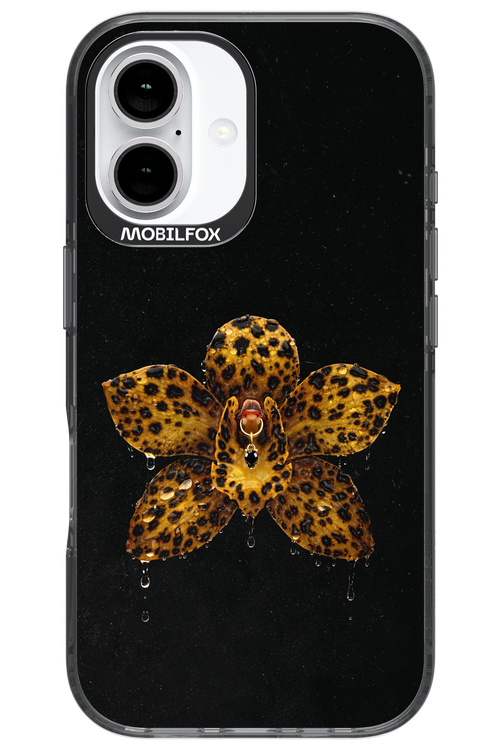 Wet & Wild 2.0 - Apple iPhone 16