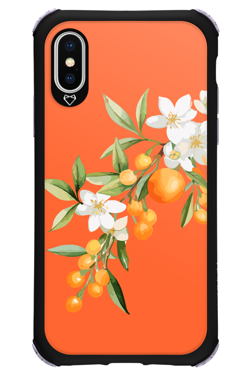 Amalfi Oranges - Apple iPhone XS