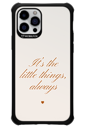 Little Things - Apple iPhone 12 Pro