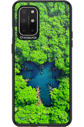 Amazon Echo - OnePlus 8T