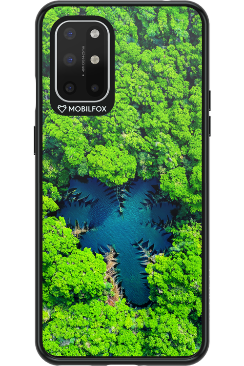 Amazon Echo - OnePlus 8T