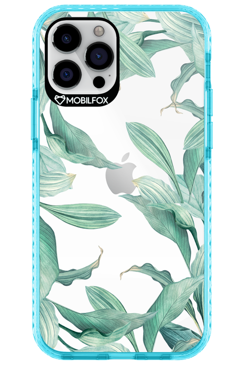 Greenpeace - Apple iPhone 12 Pro