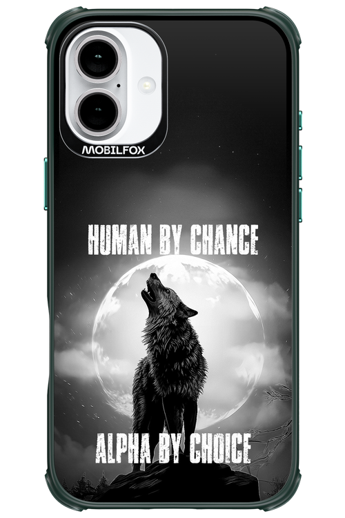 Alpha 2.0 - Apple iPhone 16 Plus