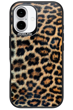 Leopard - Apple iPhone 16