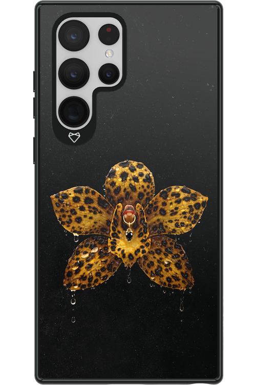 Wet & Wild 2.0 - Samsung Galaxy S22 Ultra