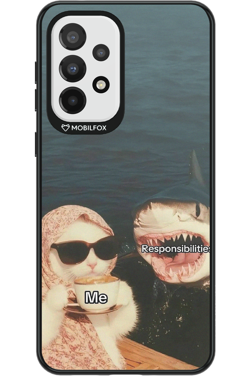 Responsibilities - Samsung Galaxy A33