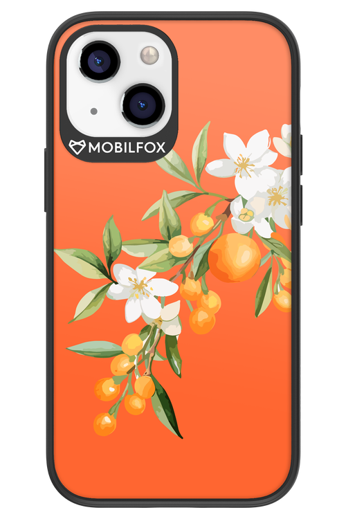 Amalfi Oranges - Apple iPhone 13 Mini