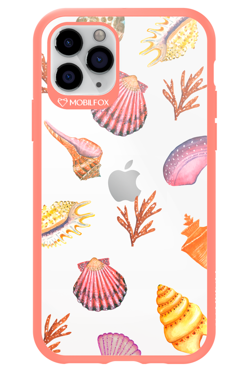 Sea Shells - Apple iPhone 11 Pro