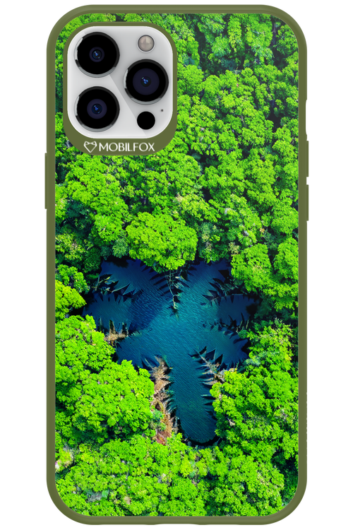 Amazon Echo - Apple iPhone 12 Pro Max