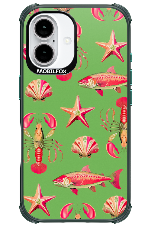 Sea Stars - Apple iPhone 16