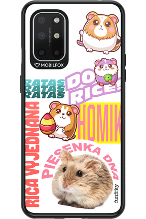 Hamster Hype - OnePlus 8T