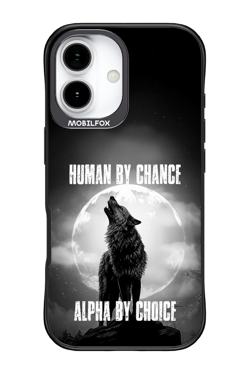 Alpha - Apple iPhone 17