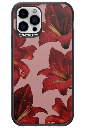 Amaryllis Mist - Apple iPhone 12 Pro