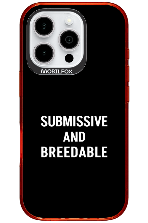 S&B 2.0 - Apple iPhone 16 Pro