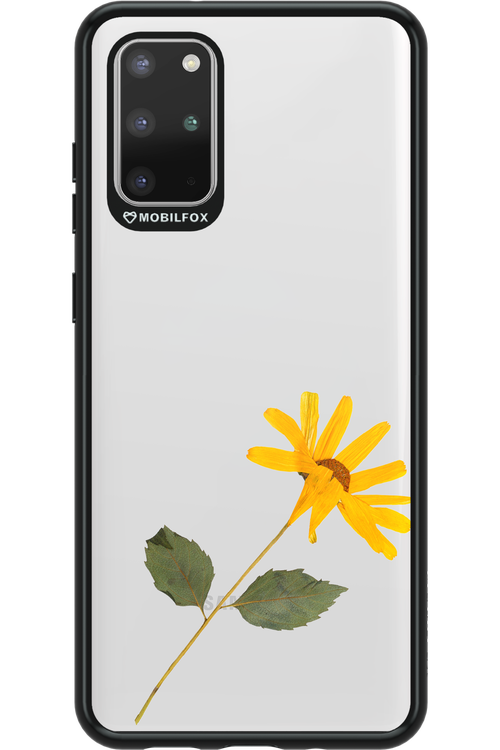 Pressed Flower - Samsung Galaxy S20+