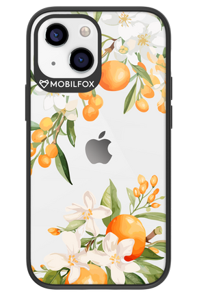 Amalfi Orange - Apple iPhone 13 Mini