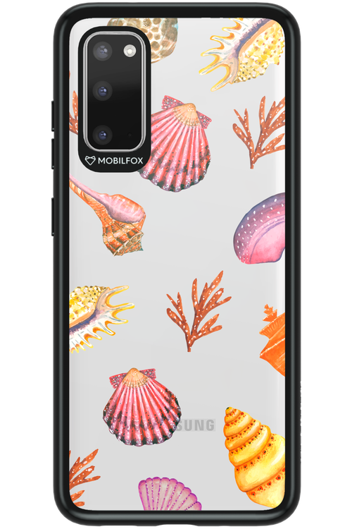 Sea Shells - Samsung Galaxy S20