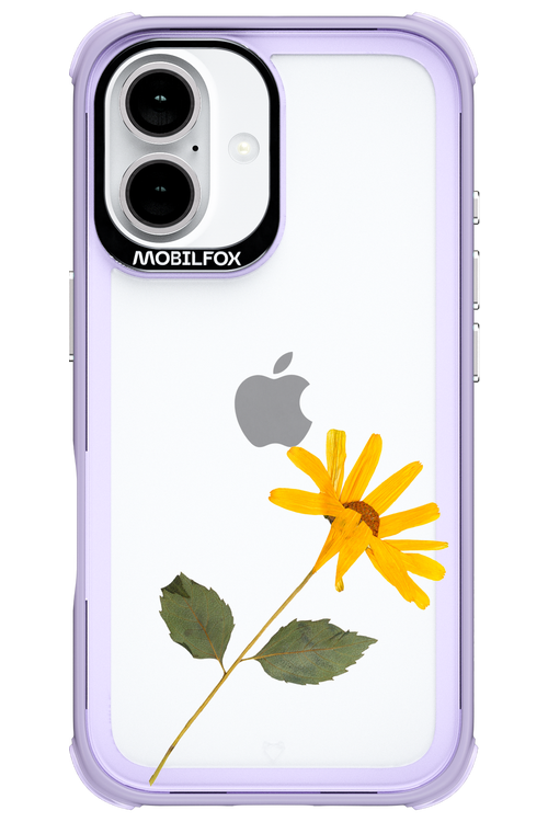 Pressed Flower - Apple iPhone 16