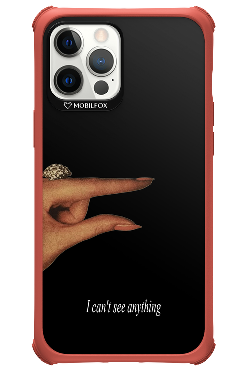 I can't see anything 2.0 - Apple iPhone 12 Pro Max