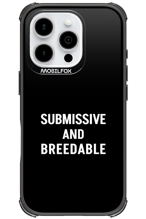 S&B 2.0 - Apple iPhone 16 Pro