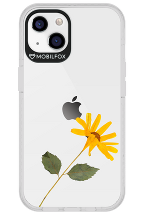Pressed Flower - Apple iPhone 13