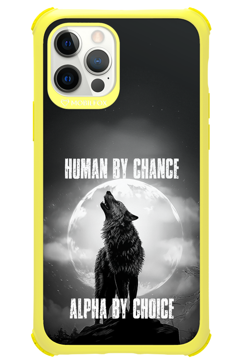 Alpha 2.0 - Apple iPhone 12 Pro