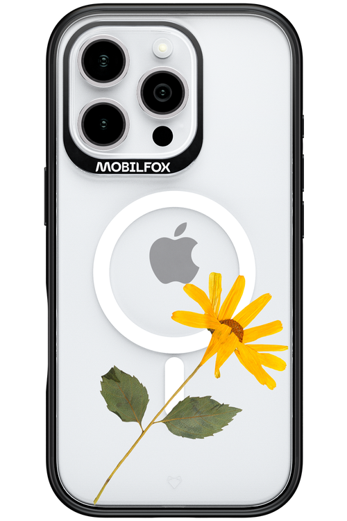 Pressed Flower - Apple iPhone 16 Pro