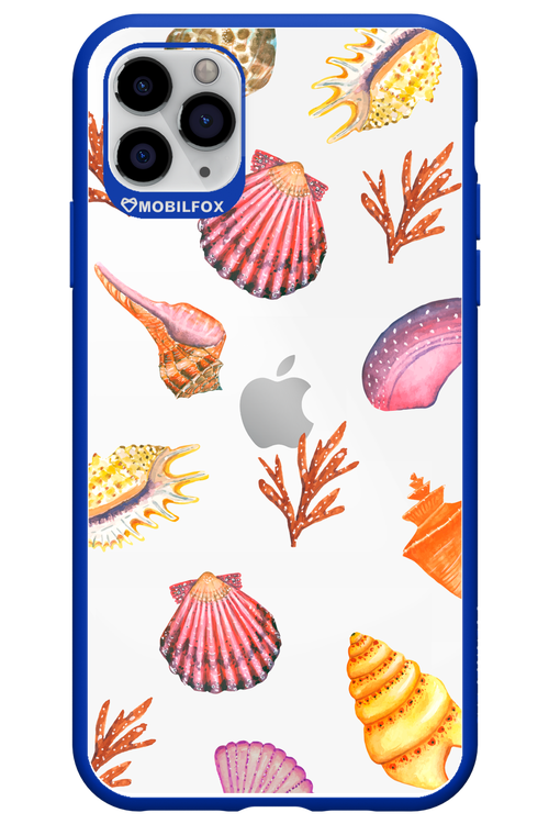 Sea Shells - Apple iPhone 11 Pro Max