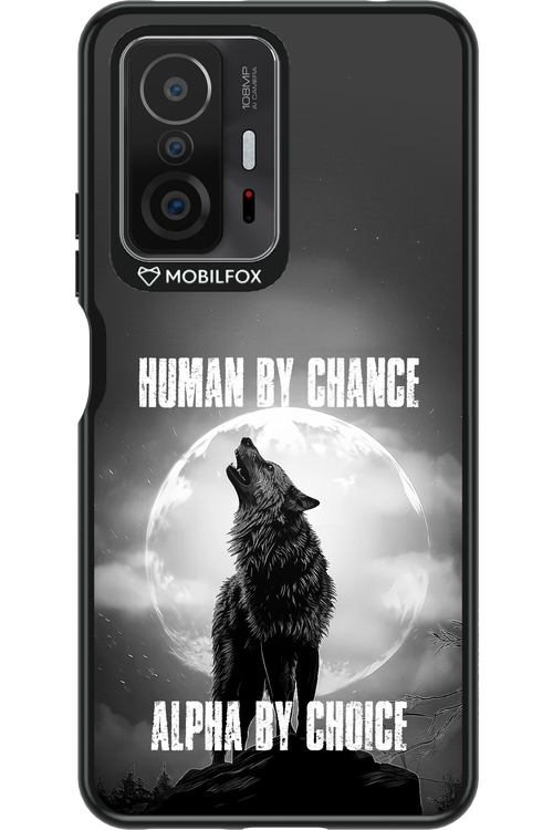Alpha 2.0 - Xiaomi Mi 11T